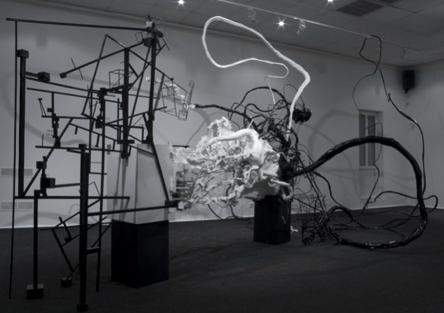The Model Of Bipolar Activity by Dmitry Kawarga @ Erarta museum, St. Petersburg