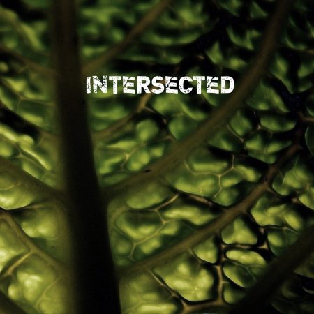 Various Artists "Intersected"